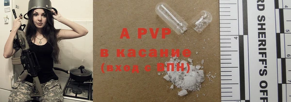 дживик Карпинск