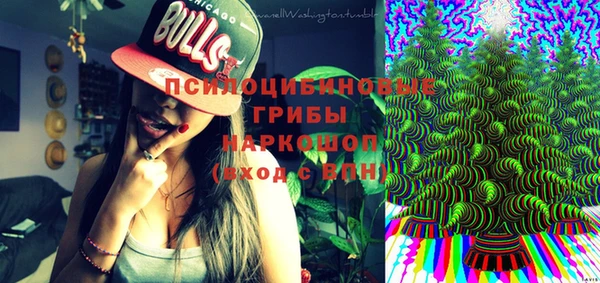 дживик Карпинск