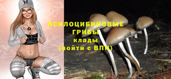 мефедрон мука Каменск-Шахтинский