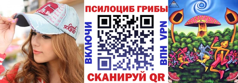ссылка на мегу вход  Кизляр  Галлюциногенные грибы Psilocybe 